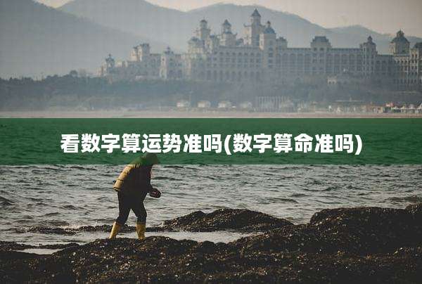 看数字算运势准吗(数字算命准吗)