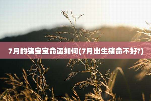 7月的猪宝宝命运如何(7月出生猪命不好?)