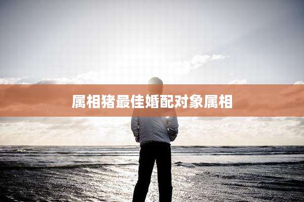 属相猪最佳婚配对象属相