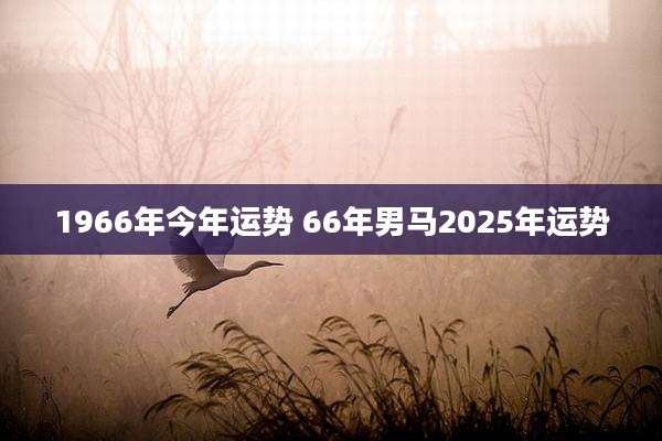 1966年今年运势 66年男马2025年运势