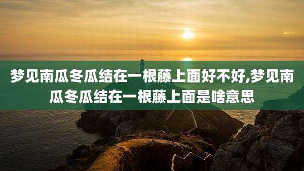 梦见南瓜冬瓜结在一根藤上面好不好,梦见南瓜冬瓜结在一根藤上面是啥意思