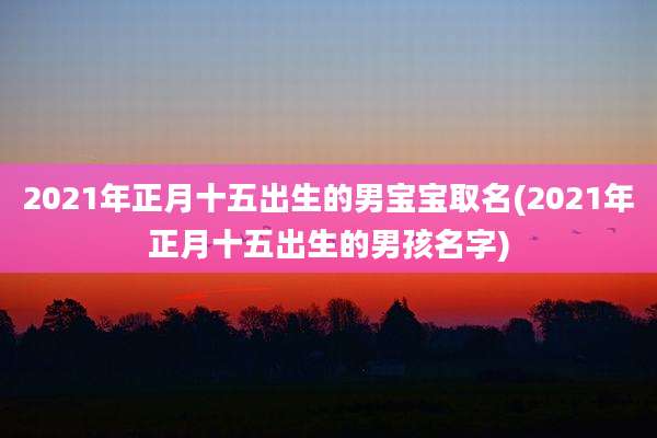 2021年正月十五出生的男宝宝取名(2021年正月十五出生的男孩名字)