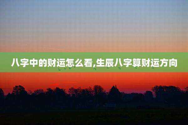 八字中的财运怎么看,生辰八字算财运方向