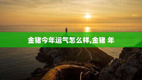 金猪今年运气怎么样,金猪 年