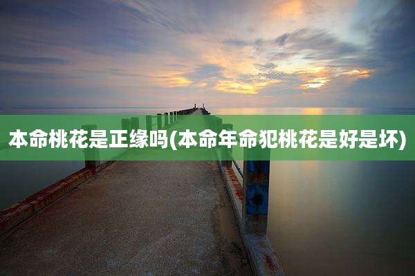 本命桃花是正缘吗(本命年命犯桃花是好是坏)
