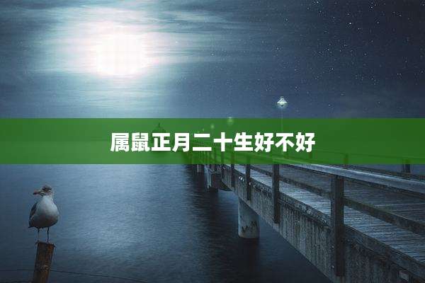 属鼠正月二十生好不好