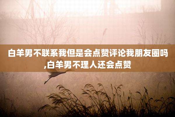 白羊男不联系我但是会点赞评论我朋友圈吗,白羊男不理人还会点赞