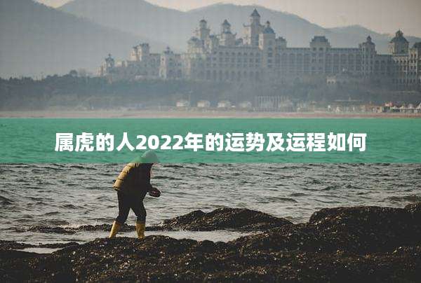 属虎的人2022年的运势及运程如何