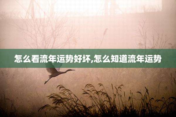怎么看流年运势好坏,怎么知道流年运势