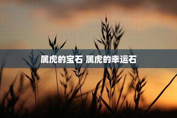 属虎的宝石 属虎的幸运石