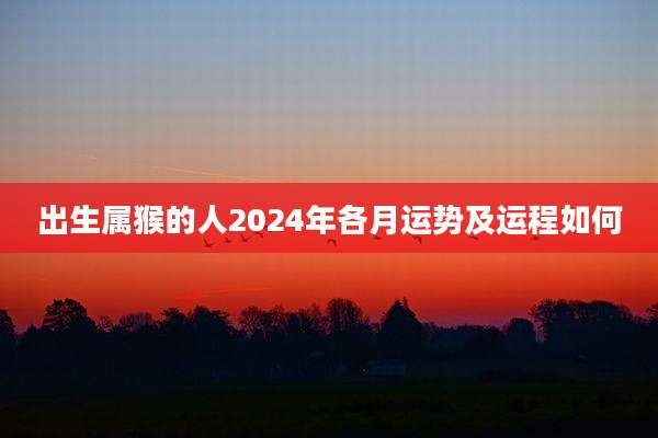 出生属猴的人2024年各月运势及运程如何