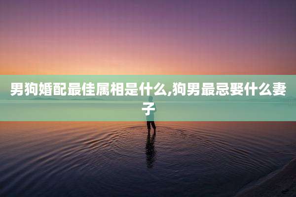 男狗婚配最佳属相是什么,狗男最忌娶什么妻子