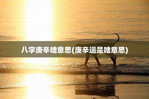 八字庚辛啥意思(庚辛运是啥意思)