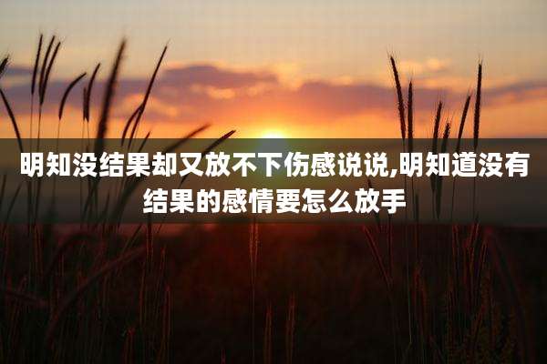 明知没结果却又放不下伤感说说,明知道没有结果的感情要怎么放手
