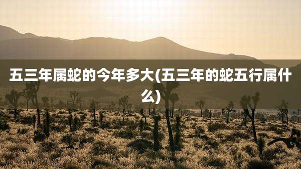 五三年属蛇的今年多大(五三年的蛇五行属什么)