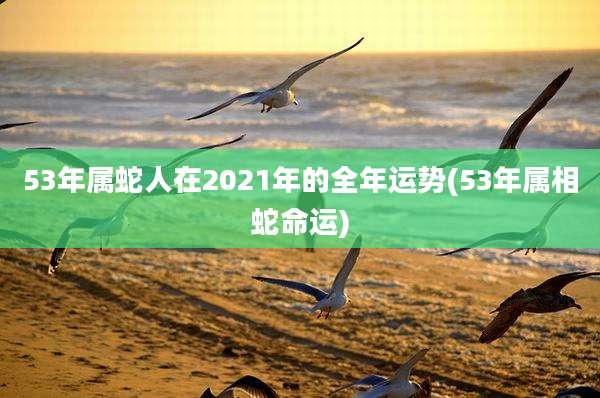 53年属蛇人在2021年的全年运势(53年属相蛇命运)