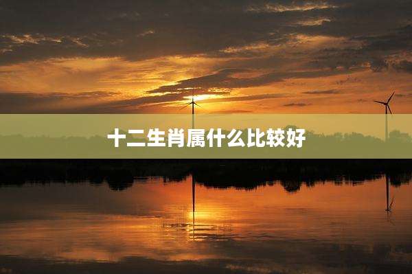 十二生肖属什么比较好