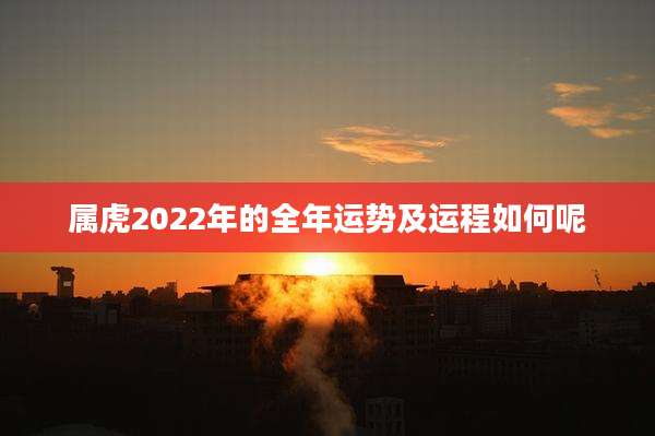 属虎2022年的全年运势及运程如何呢