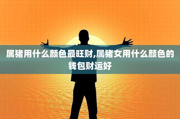 属猪用什么颜色最旺财,属猪女用什么颜色的钱包财运好