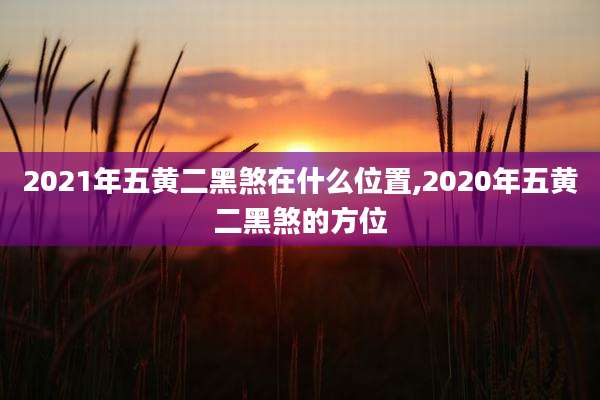 2021年五黄二黑煞在什么位置,2020年五黄二黑煞的方位