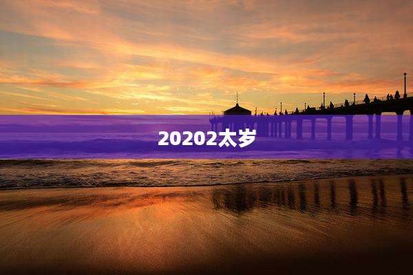 20202太岁