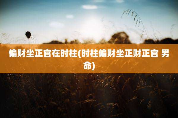 偏财坐正官在时柱(时柱偏财坐正财正官 男命)