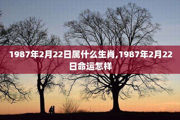 1987年2月22日属什么生肖,1987年2月22日命运怎样