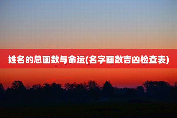 姓名的总画数与命运(名字画数吉凶检查表)