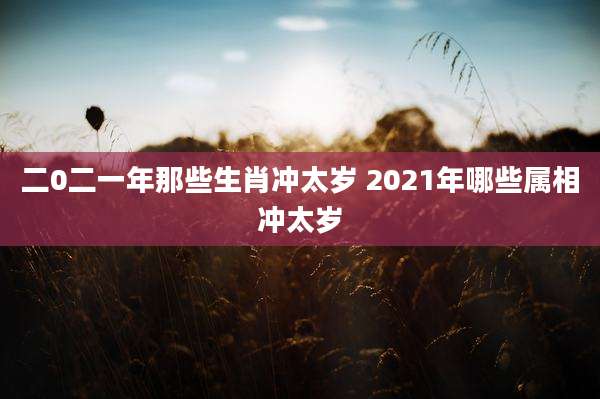 二0二一年那些生肖冲太岁 2021年哪些属相冲太岁