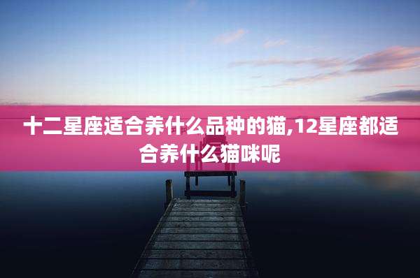 十二星座适合养什么品种的猫,12星座都适合养什么猫咪呢