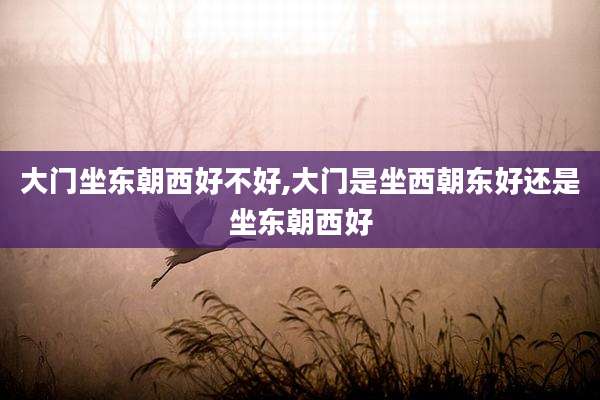 大门坐东朝西好不好,大门是坐西朝东好还是坐东朝西好