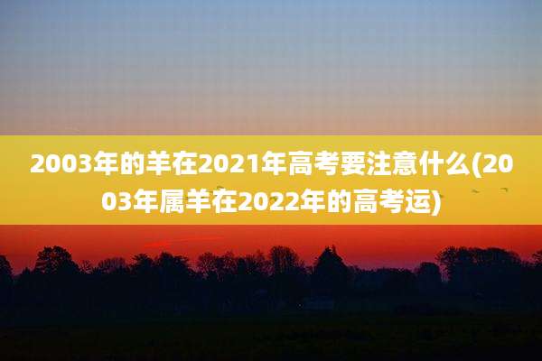 2003年的羊在2021年高考要注意什么(2003年属羊在2022年的高考运)