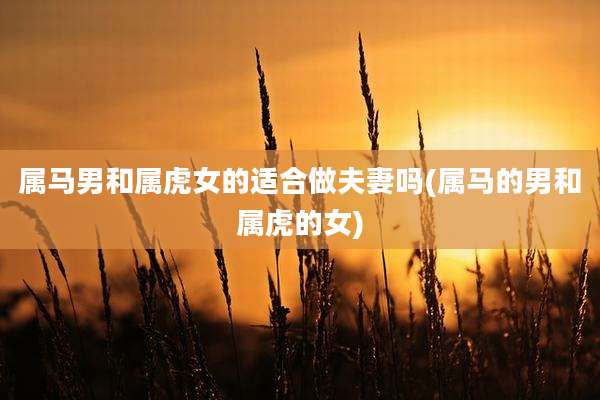 属马男和属虎女的适合做夫妻吗(属马的男和属虎的女)