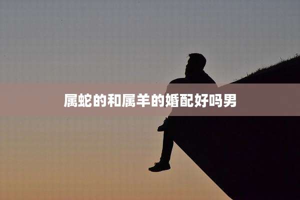 属蛇的和属羊的婚配好吗男