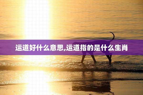 运道好什么意思,运道指的是什么生肖