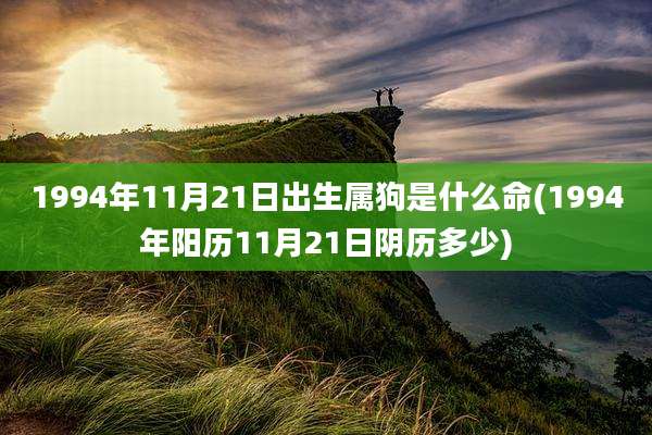 1994年11月21日出生属狗是什么命(1994年阳历11月21日阴历多少)