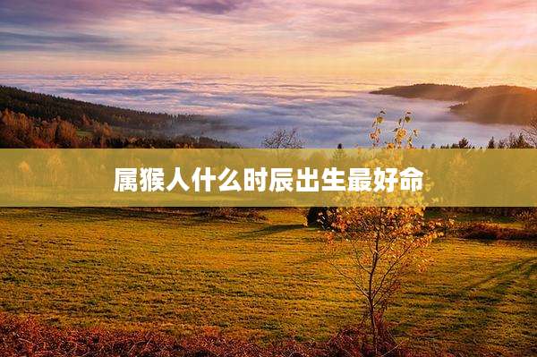 属猴人什么时辰出生最好命