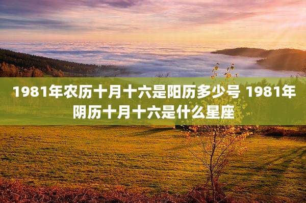 1981年农历十月十六是阳历多少号 1981年阴历十月十六是什么星座