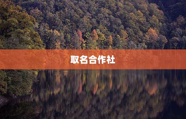 取名合作社