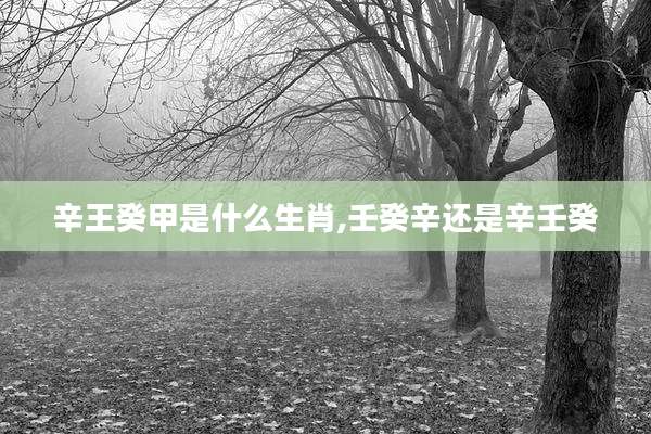 辛王癸甲是什么生肖,壬癸辛还是辛壬癸