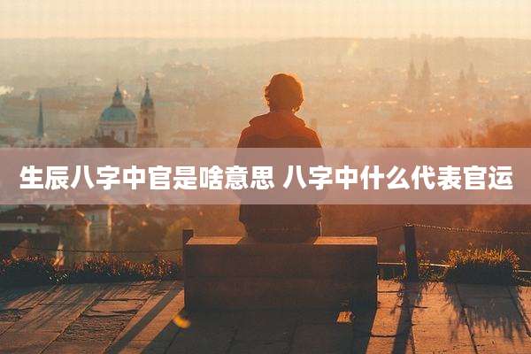 生辰八字中官是啥意思 八字中什么代表官运