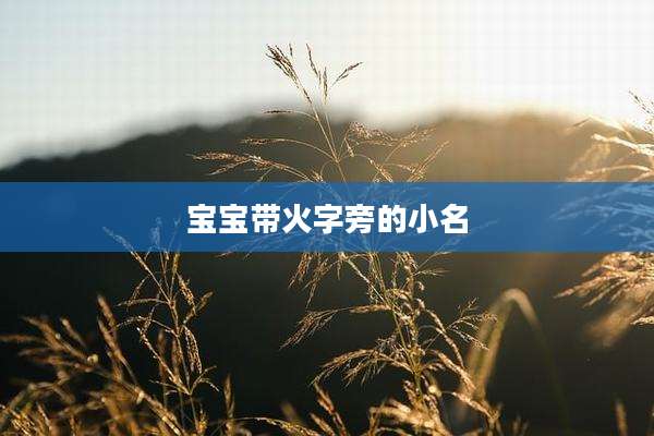 宝宝带火字旁的小名