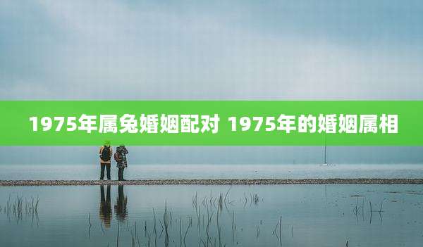 1975年属兔婚姻配对 1975年的婚姻属相