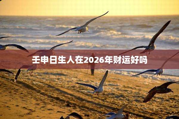 壬申日生人在2026年财运好吗