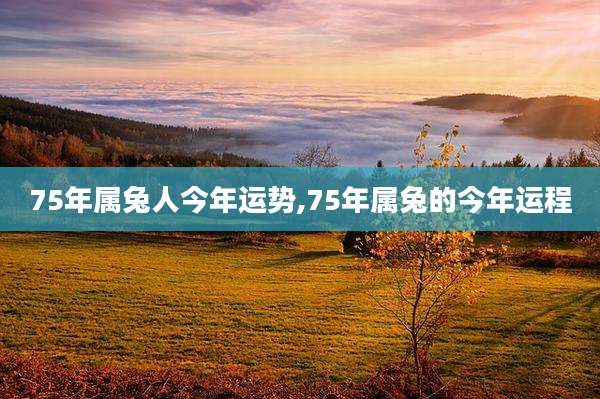 75年属兔人今年运势,75年属兔的今年运程