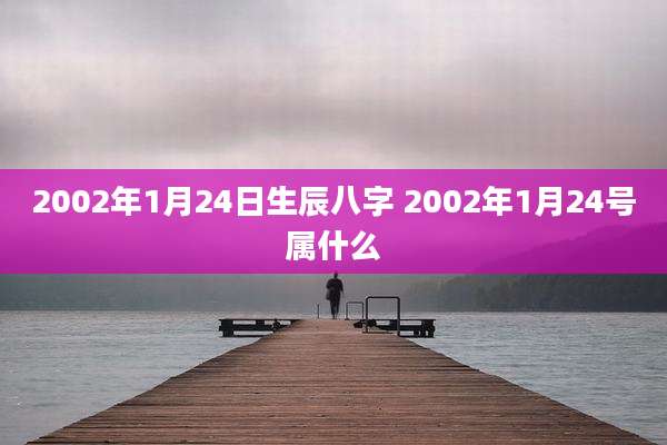 2002年1月24日生辰八字 2002年1月24号属什么