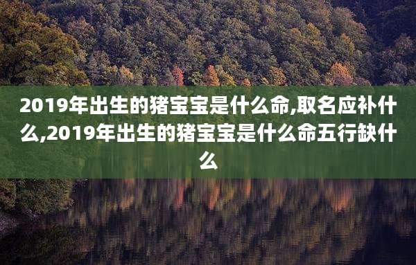 2019年出生的猪宝宝是什么命,取名应补什么,2019年出生的猪宝宝是什么命五行缺什么