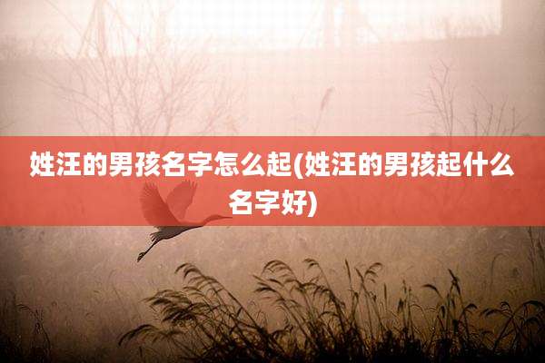 姓汪的男孩名字怎么起(姓汪的男孩起什么名字好)