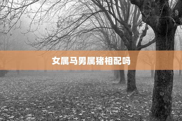 女属马男属猪相配吗