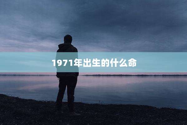 1971年出生的什么命